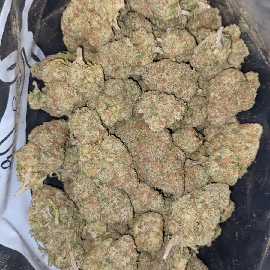 Alternative view of $99 Oz - Nuken #2