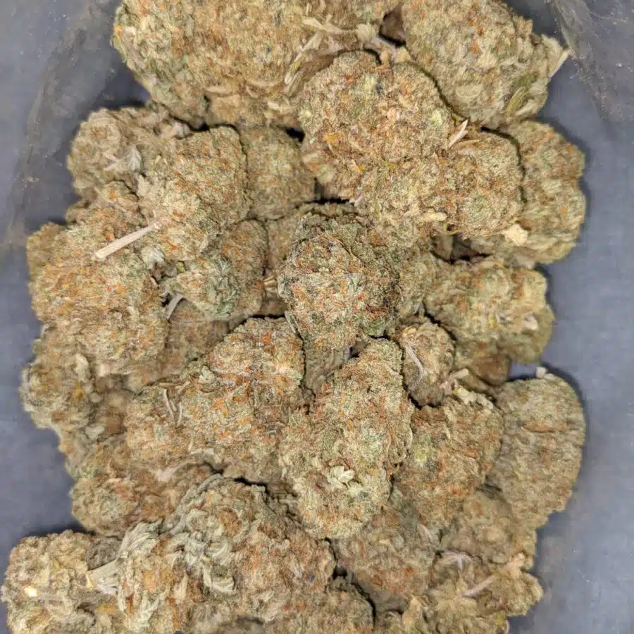 ORANGE CRUSH DOD 1 I $69 Oz - Orange Crush