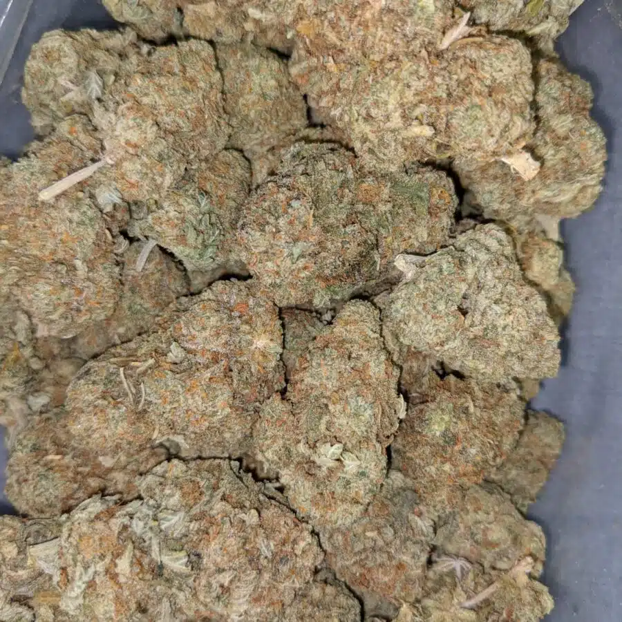 ORANGE CRUSH DOD 2 I $69 Oz - Orange Crush