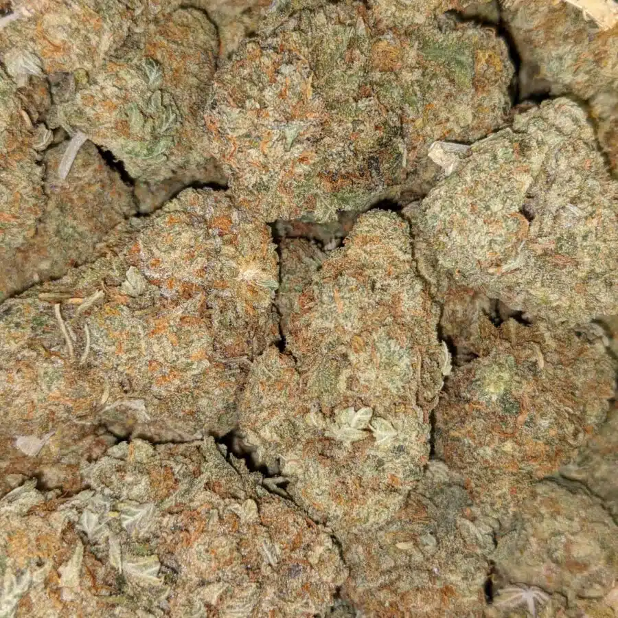 ORANGE CRUSH DOD 5 I $69 Oz - Orange Crush