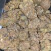 Purple Comatose