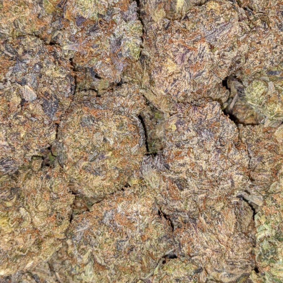 Purple Comatose - Image 4