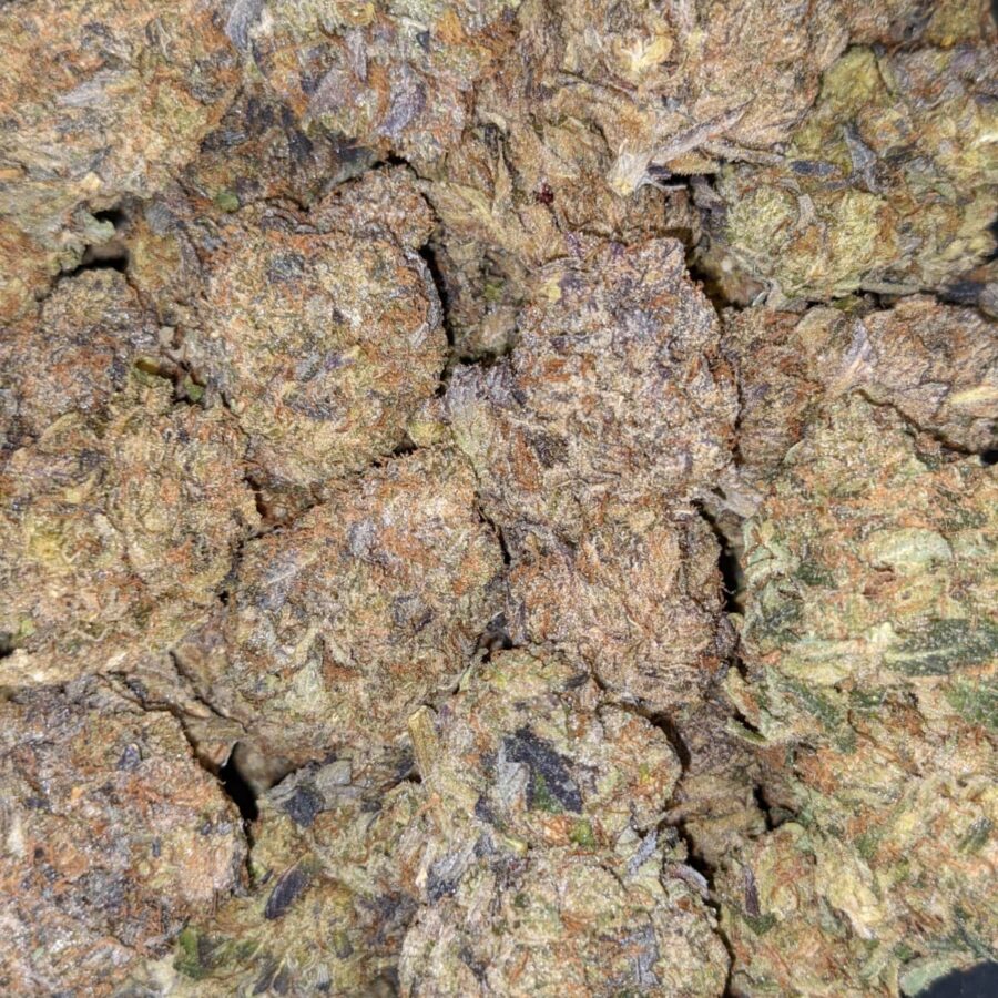 Purple Comatose - Image 6
