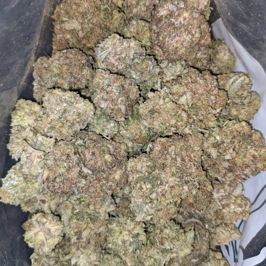 PURPLE GAS 1 I Purple Gas - *Deal of the Day*