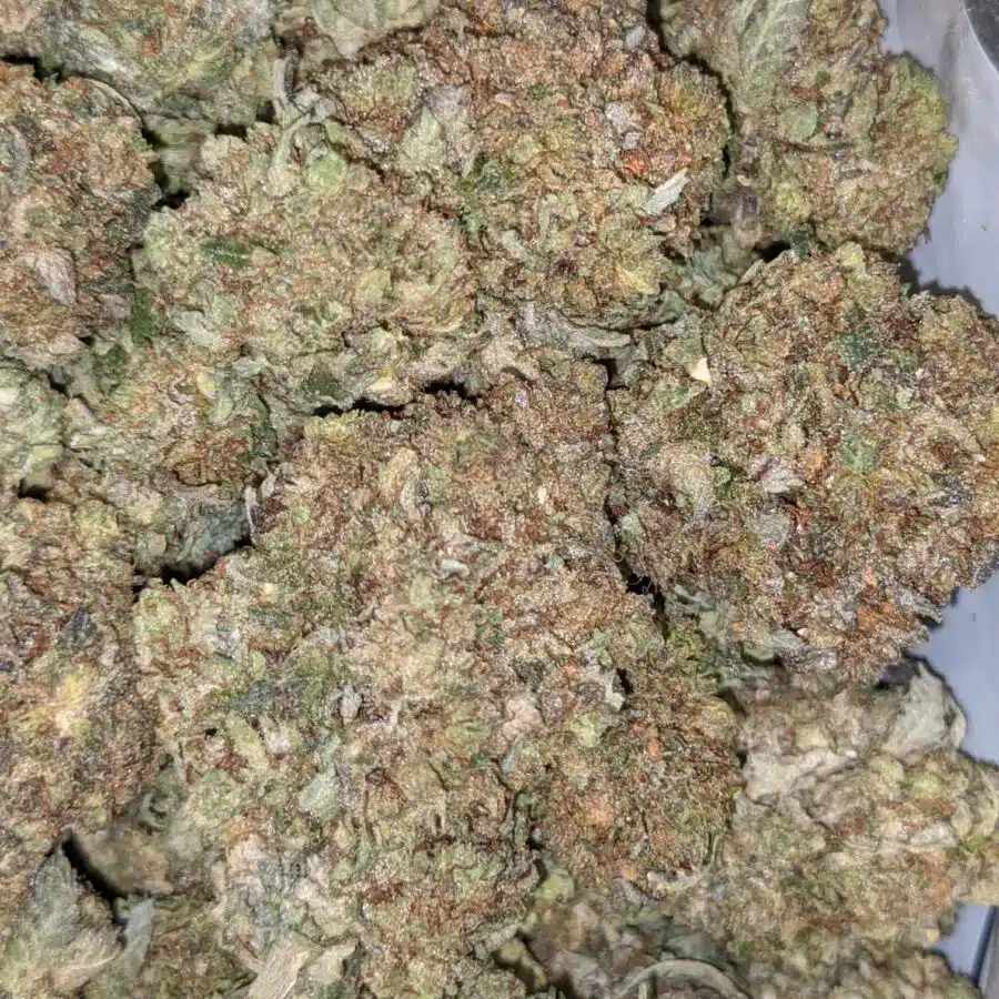 PURPLE GAS 4 I Purple Gas - *Deal of the Day*
