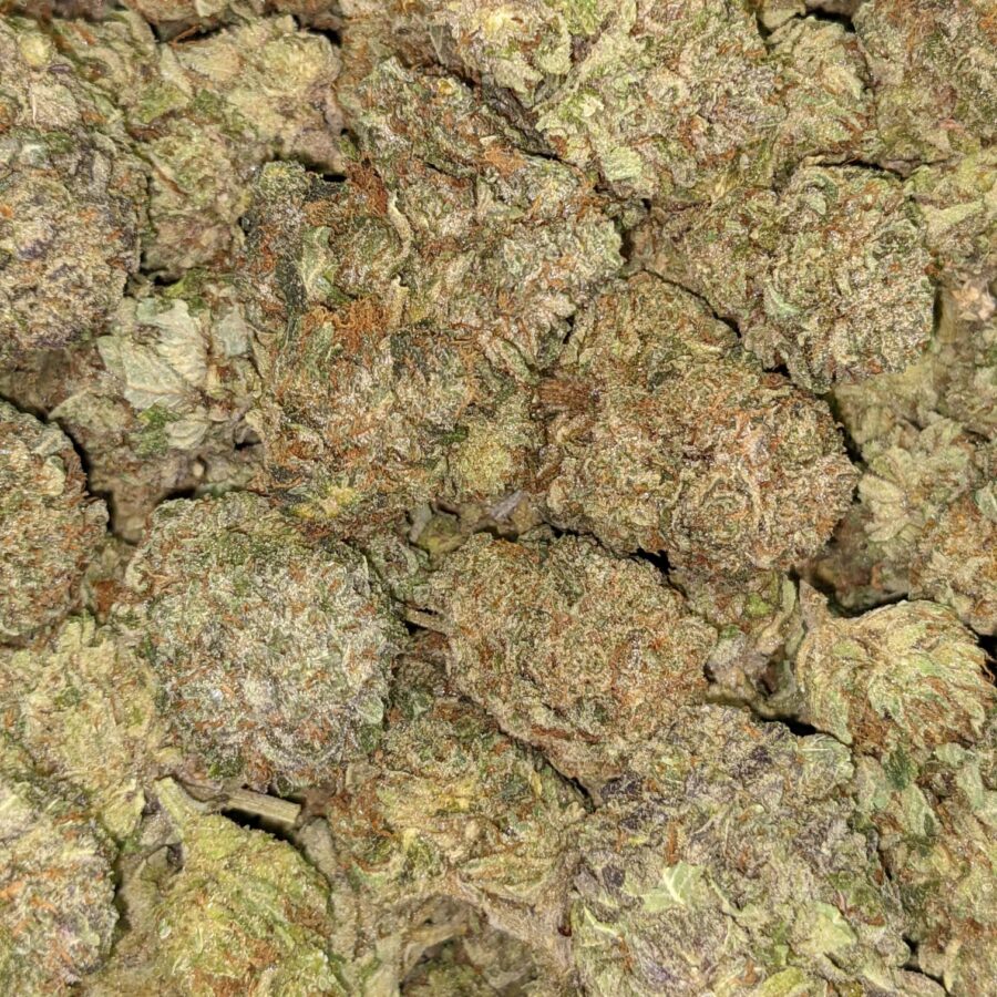 Purple Violator - Image 6