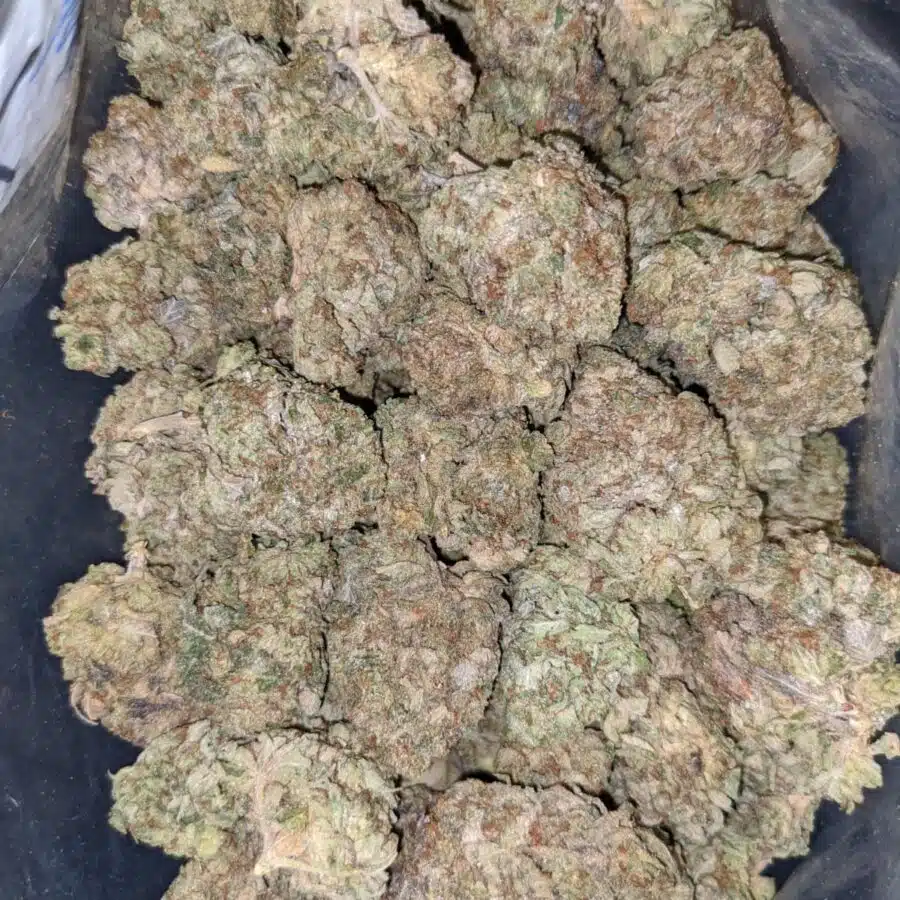 Purple bubba aa1 I $99 Oz - Purple Bubba