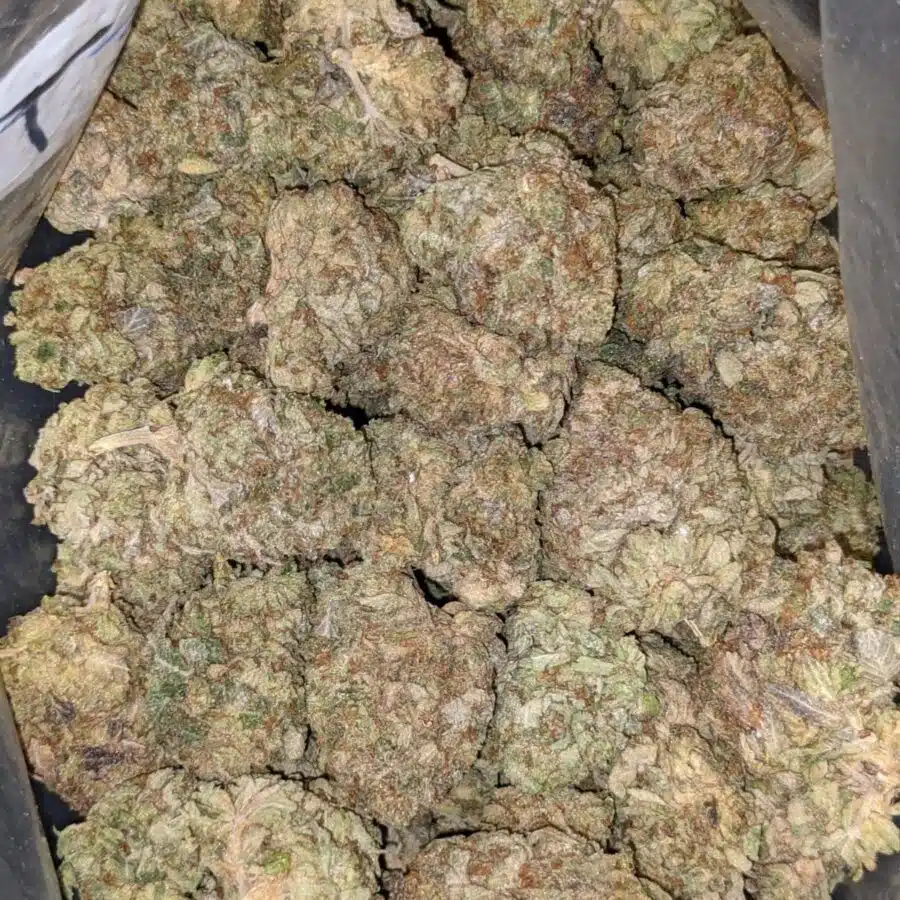 Purple bubba aa3 I $99 Oz - Purple Bubba