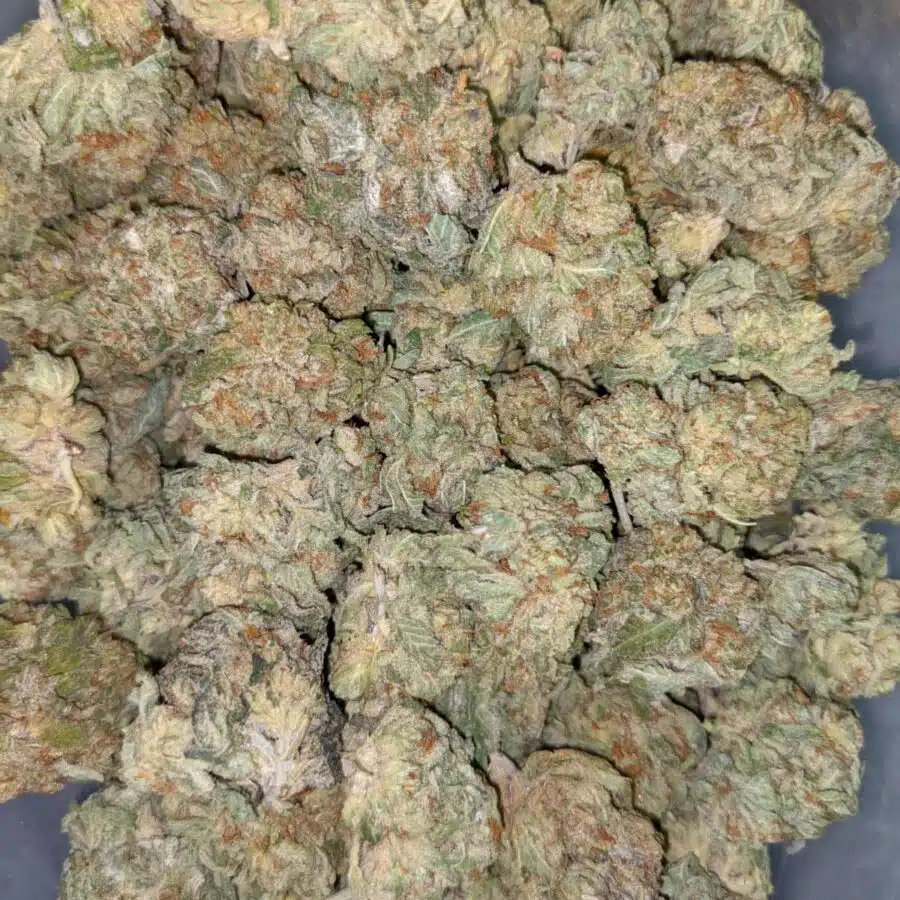 SFV OG 1 I $69 Oz - SFV OG