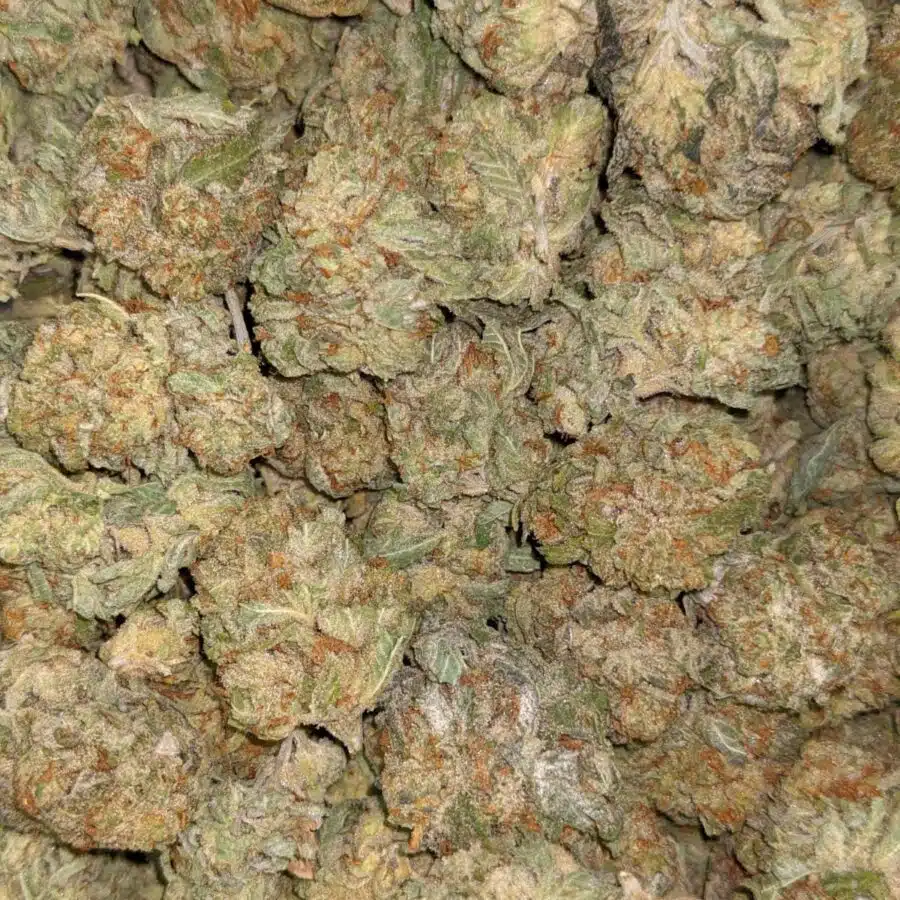 SFV OG 3 I $69 Oz - SFV OG