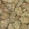 $69 Oz - SFV OG