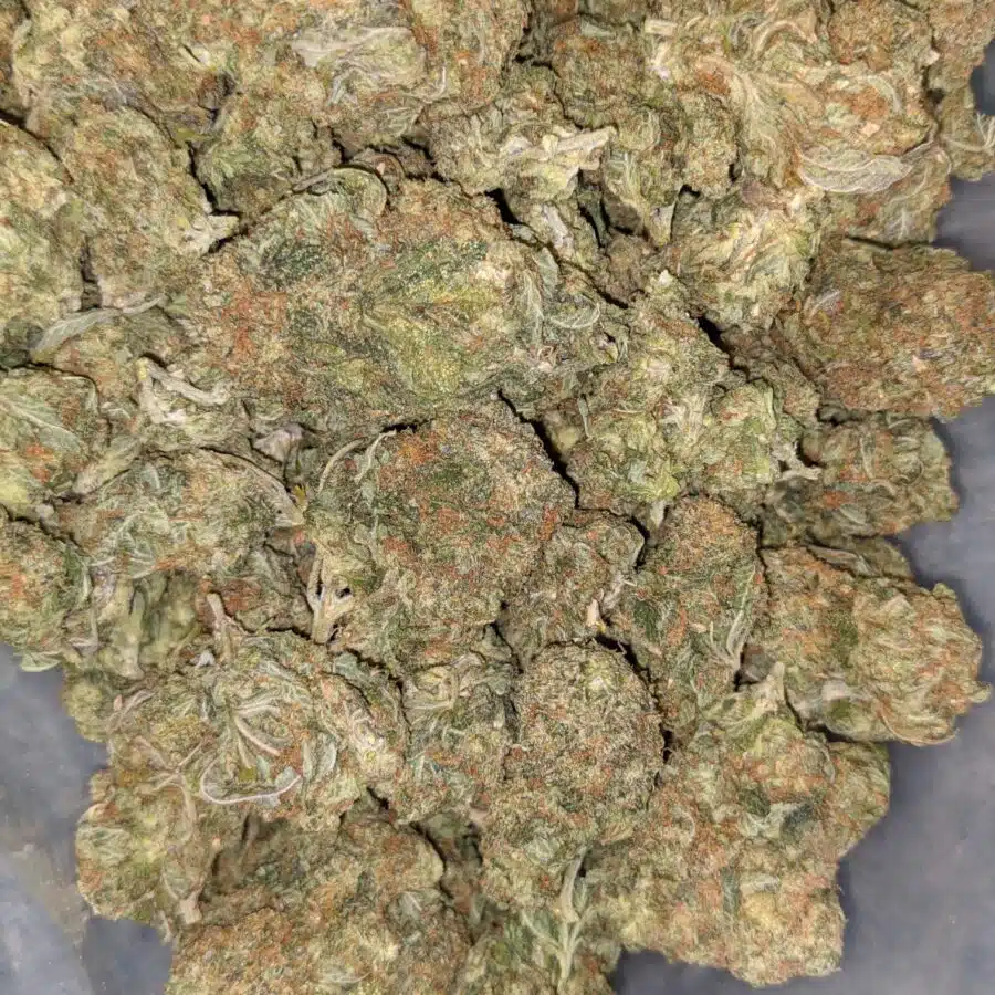 SUPER SILVER HAZE DOD 1 I $59 Oz - Super Silver Haze