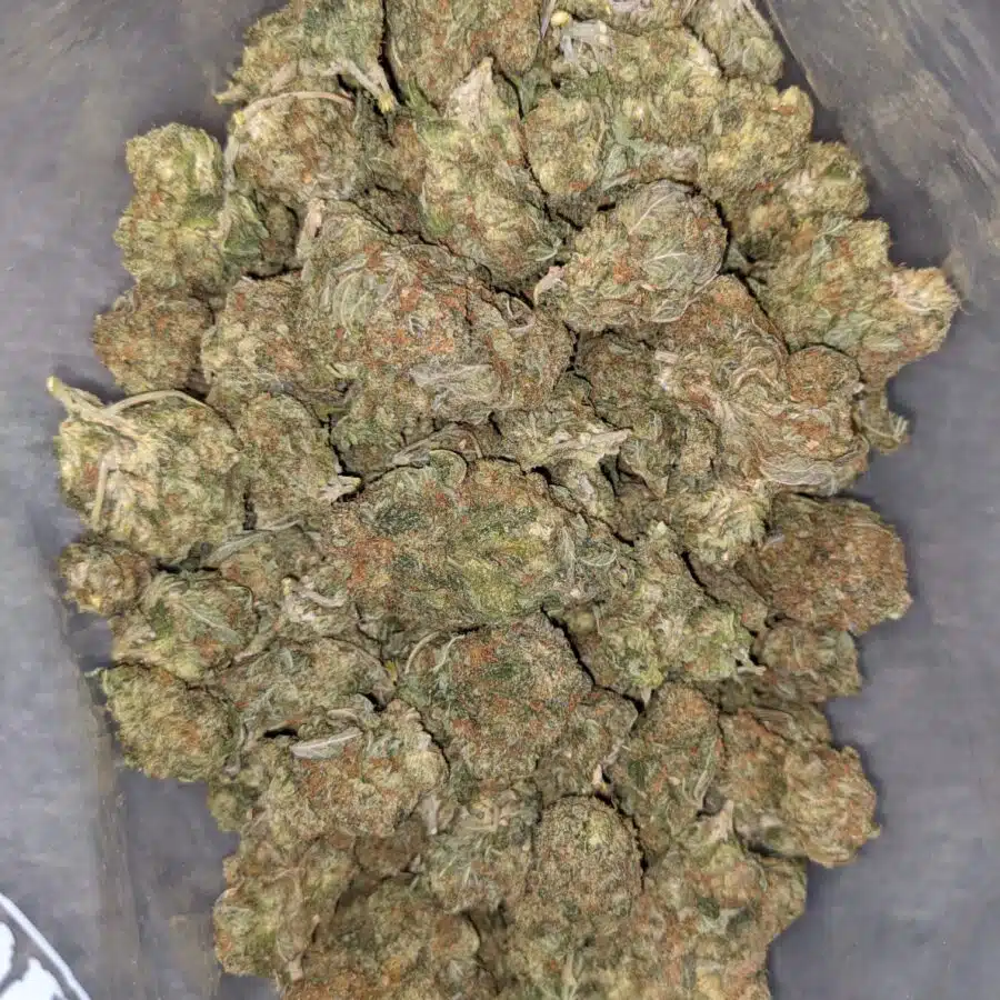 SUPER SILVER HAZE DOD 2 I $59 Oz - Super Silver Haze