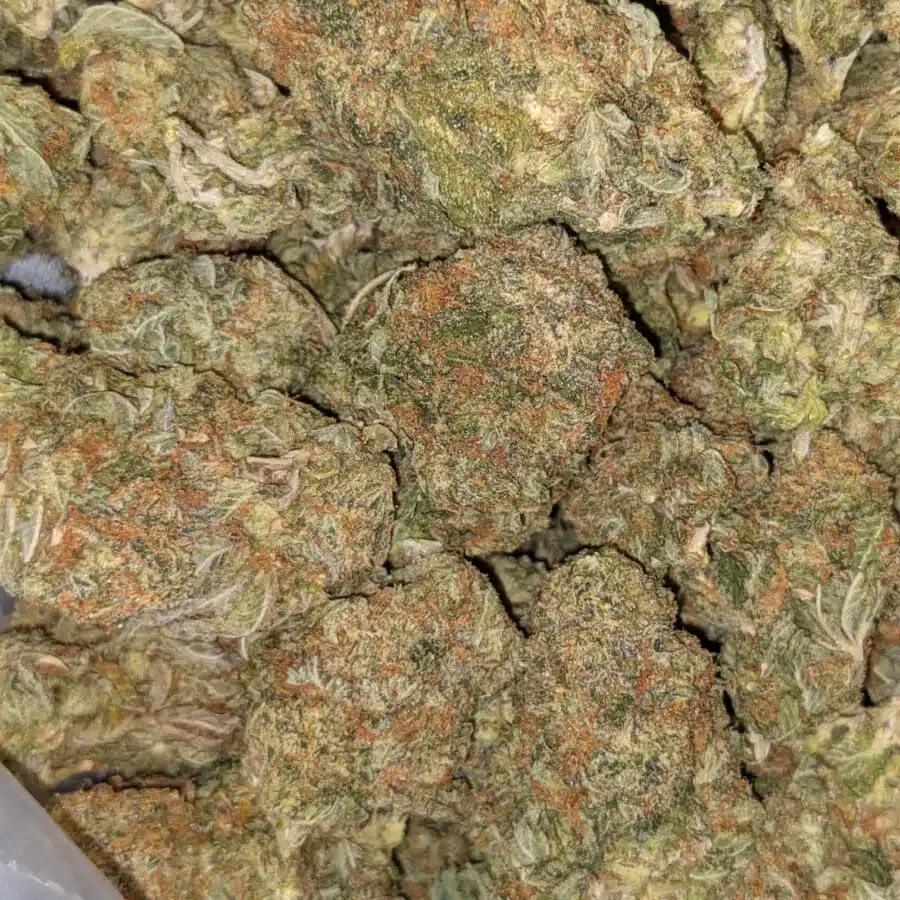 SUPER SILVER HAZE DOD 4 I $59 Oz - Super Silver Haze