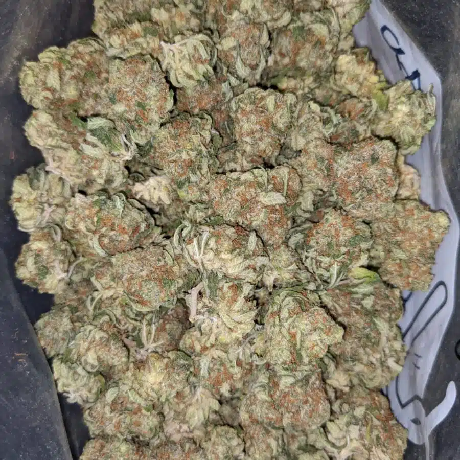 VANILLA KUSH DOD 1 I $69 Oz - Vanilla Kush