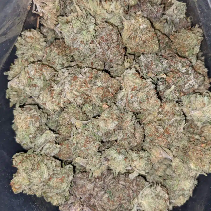 Alternative view of $69 Oz - Violator x Jetfuel