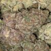 $69 Oz - Violator x Jetfuel