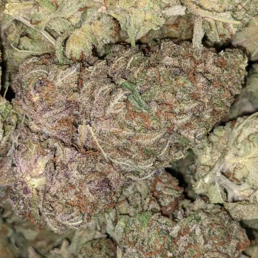 $69 Oz - Violator x Jetfuel