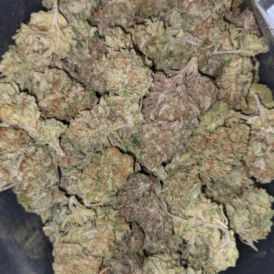 VIOLATOR X JETFUEL 3 I $69 Oz - Violator x Jetfuel