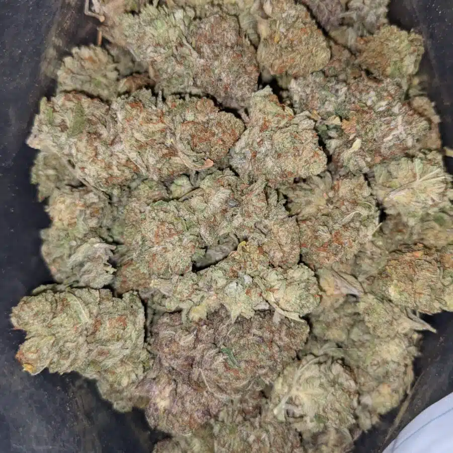 VIOLATOR X JETFUEL 4 I $69 Oz - Violator x Jetfuel