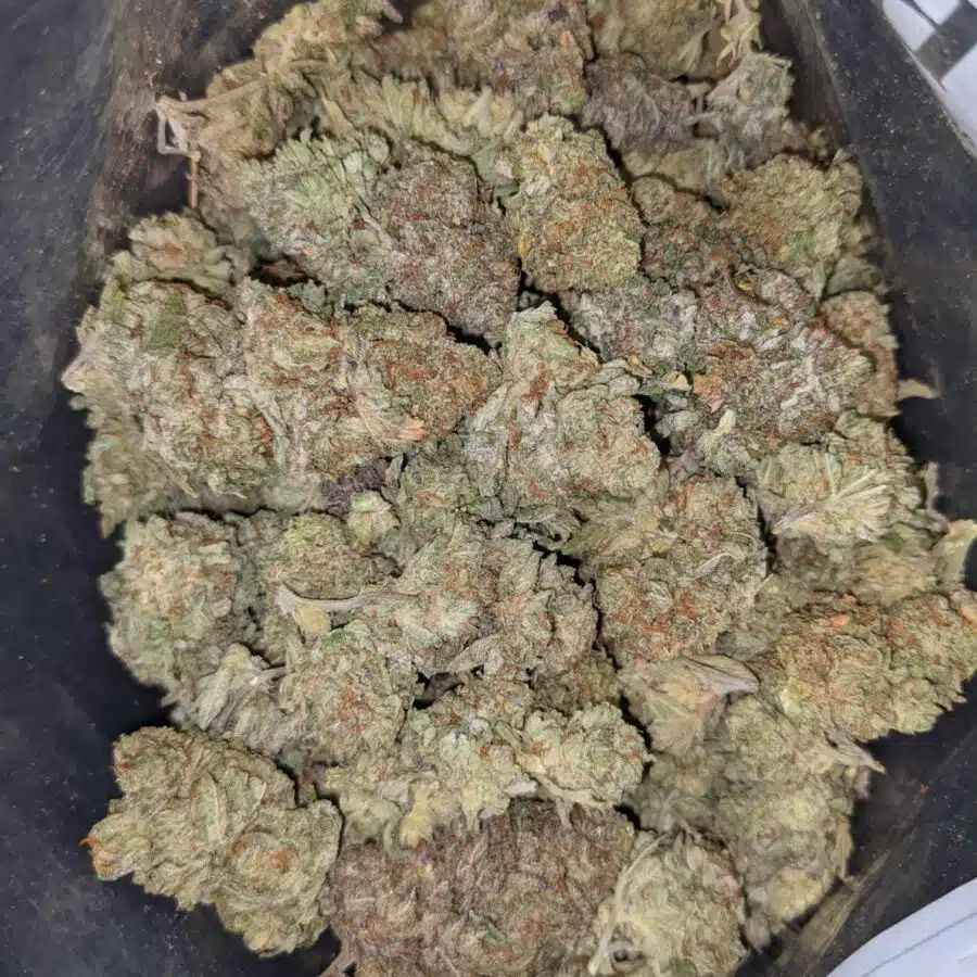 VIOLATOR X JETFUEL 5 I $69 Oz - Violator x Jetfuel