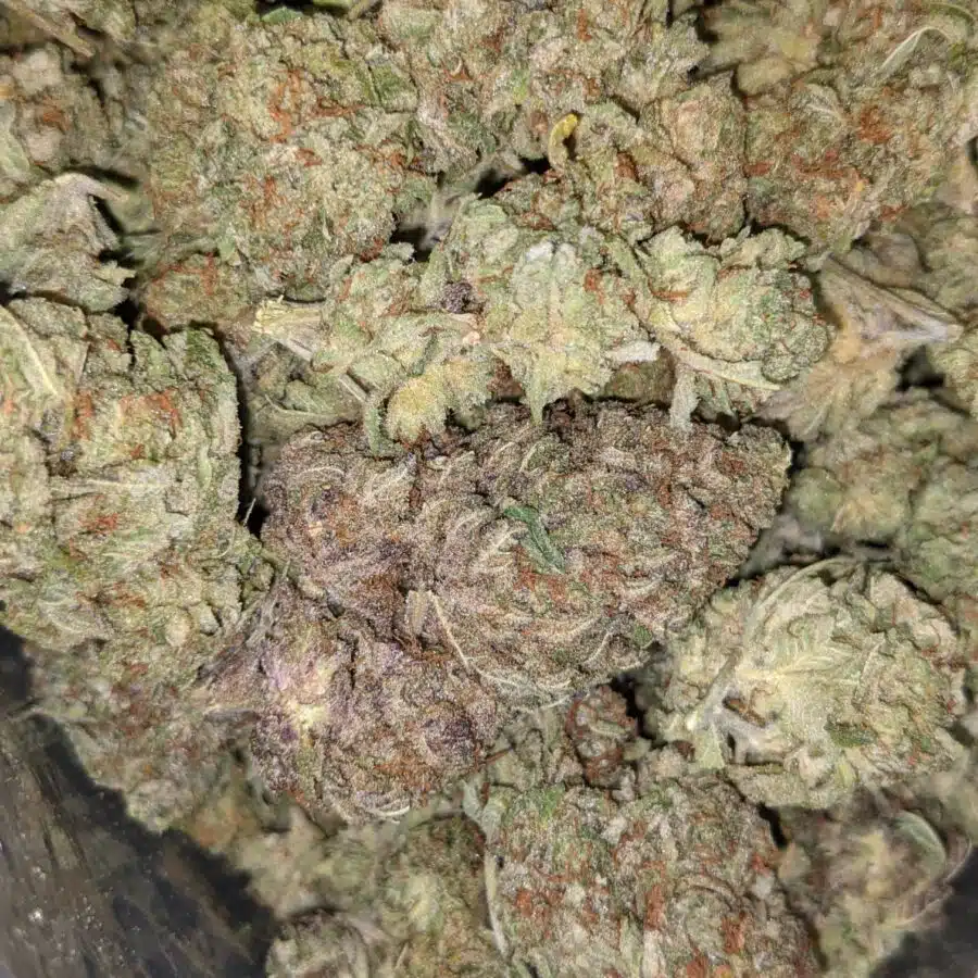 VIOLATOR X JETFUEL 6 I $69 Oz - Violator x Jetfuel