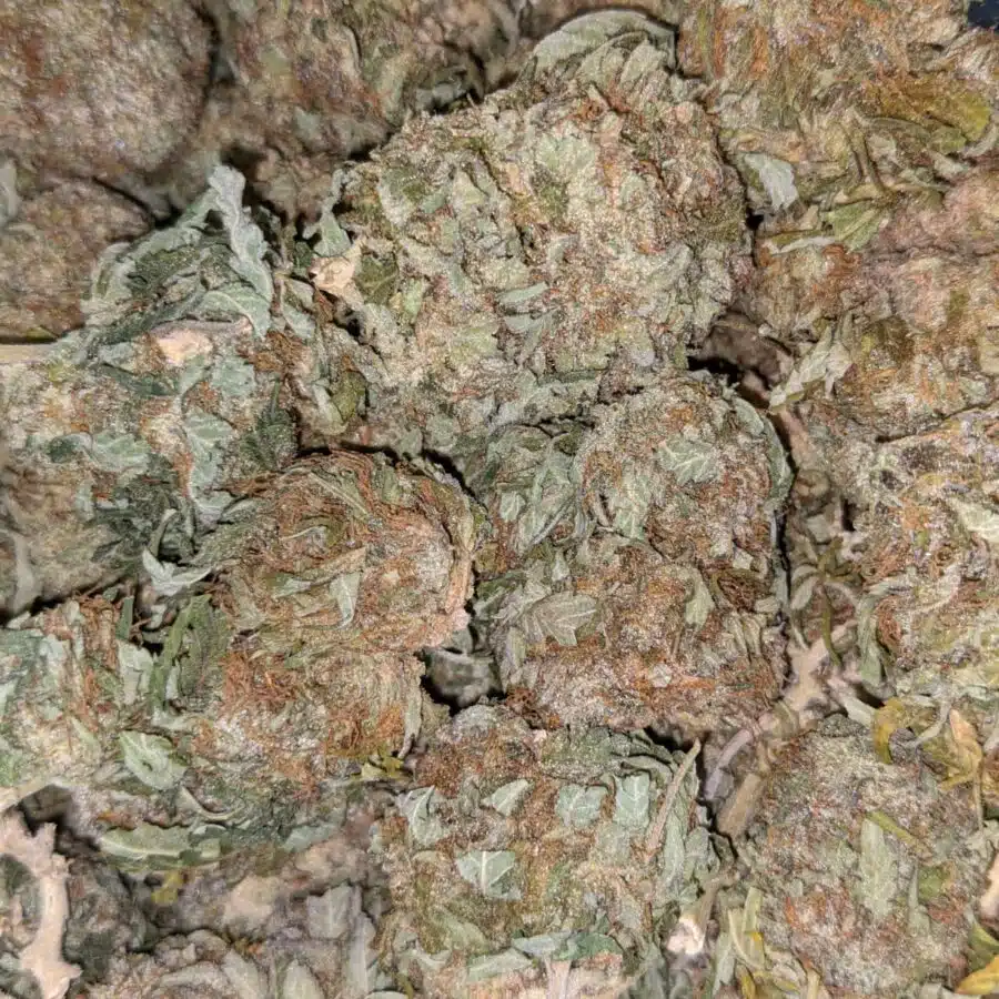 Alternative view of $69 Oz - White Cosmic
