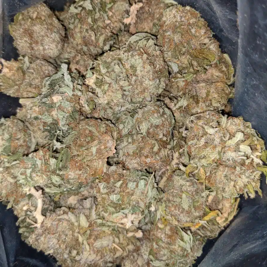 WHITE COSMIC DOD 2 I $69 Oz - White Cosmic
