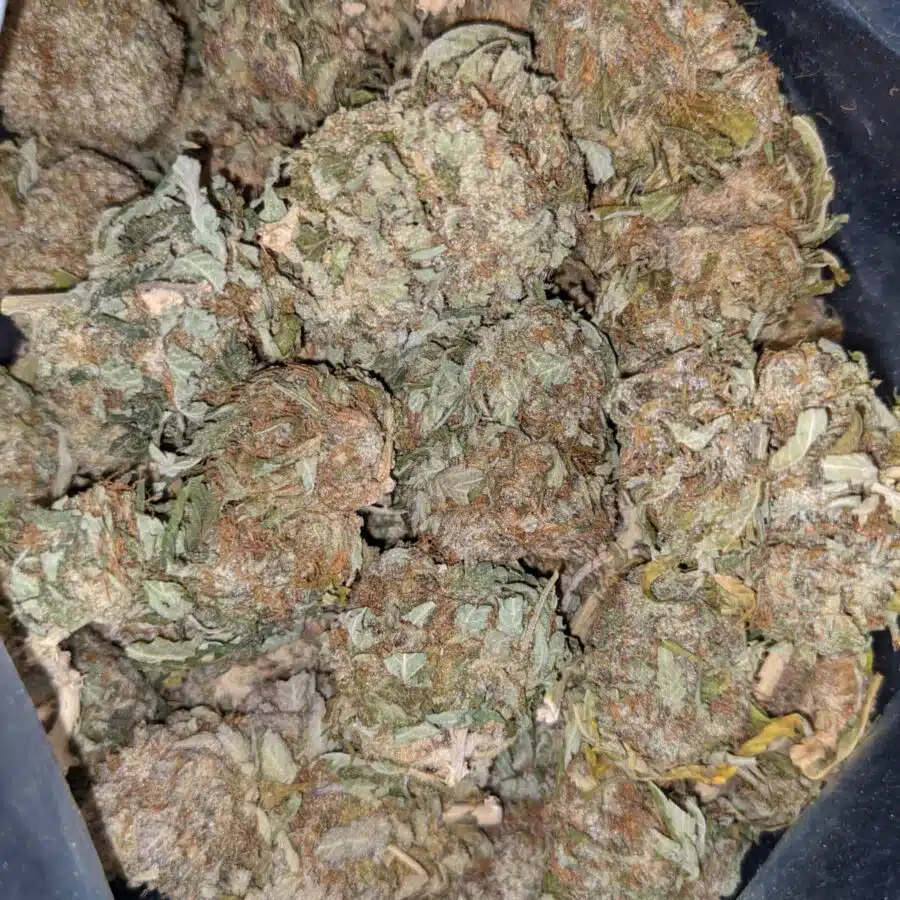 WHITE COSMIC DOD 3 I $69 Oz - White Cosmic