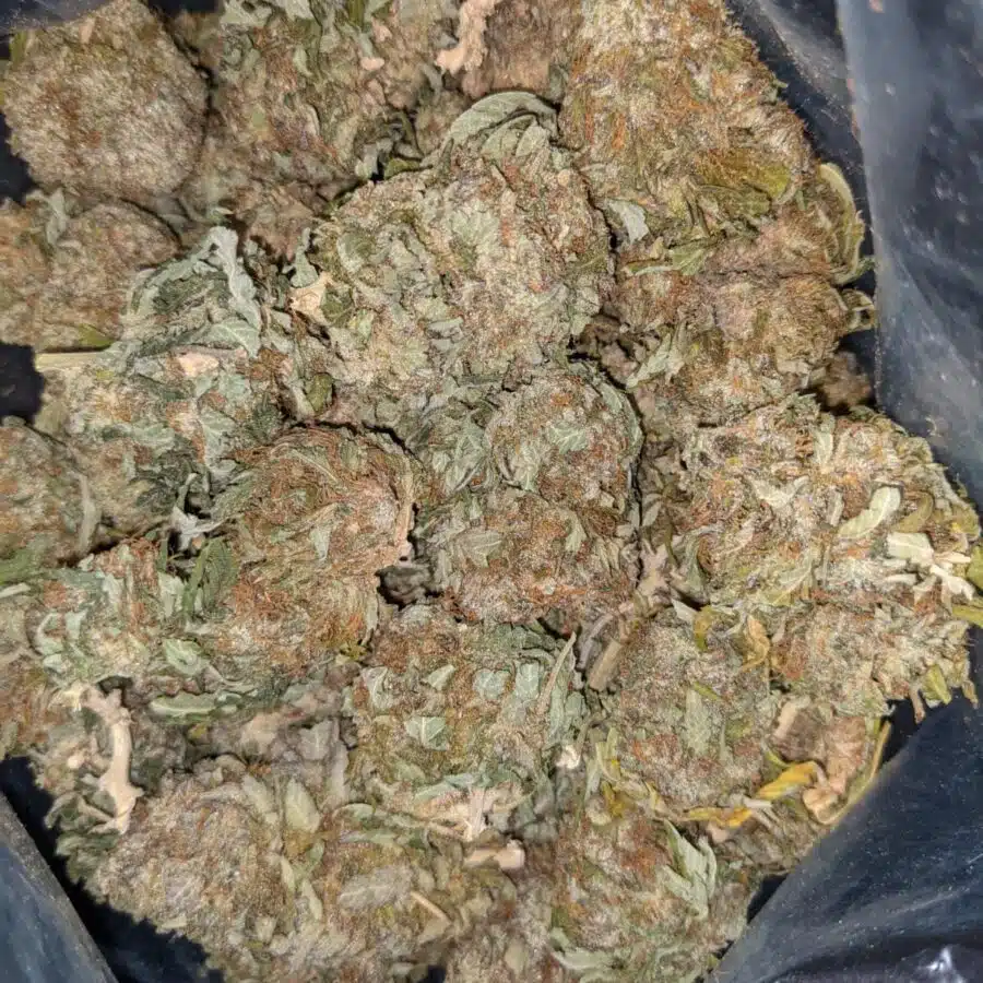 WHITE COSMIC DOD 4 I $69 Oz - White Cosmic