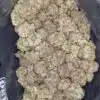 White Durban - *Deal of the Day*