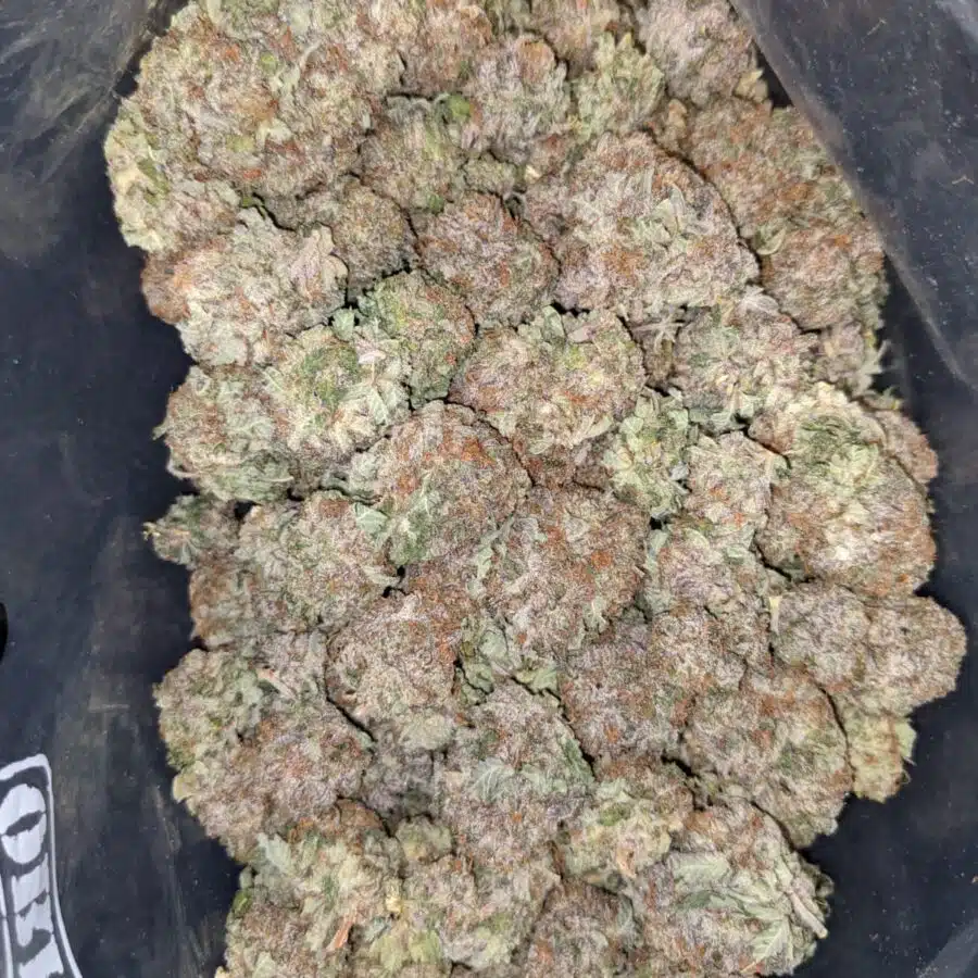 White Durban - *Deal of the Day*