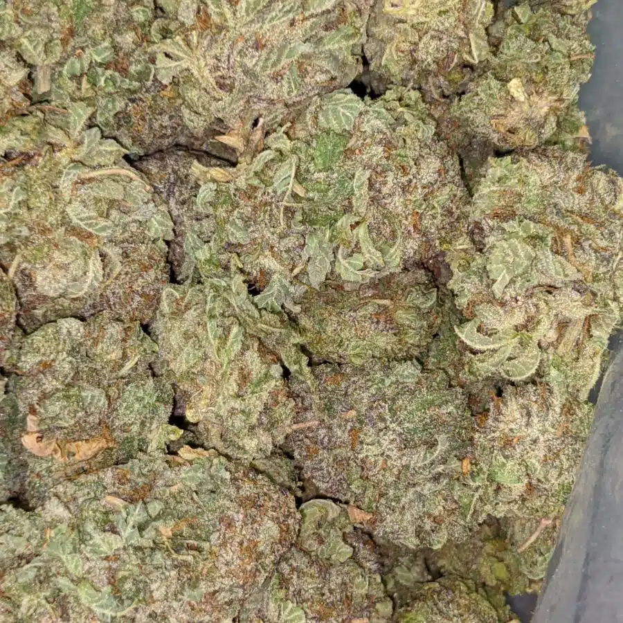 WHITE POISON DOD 1 scaled I $69 Oz - White Poison