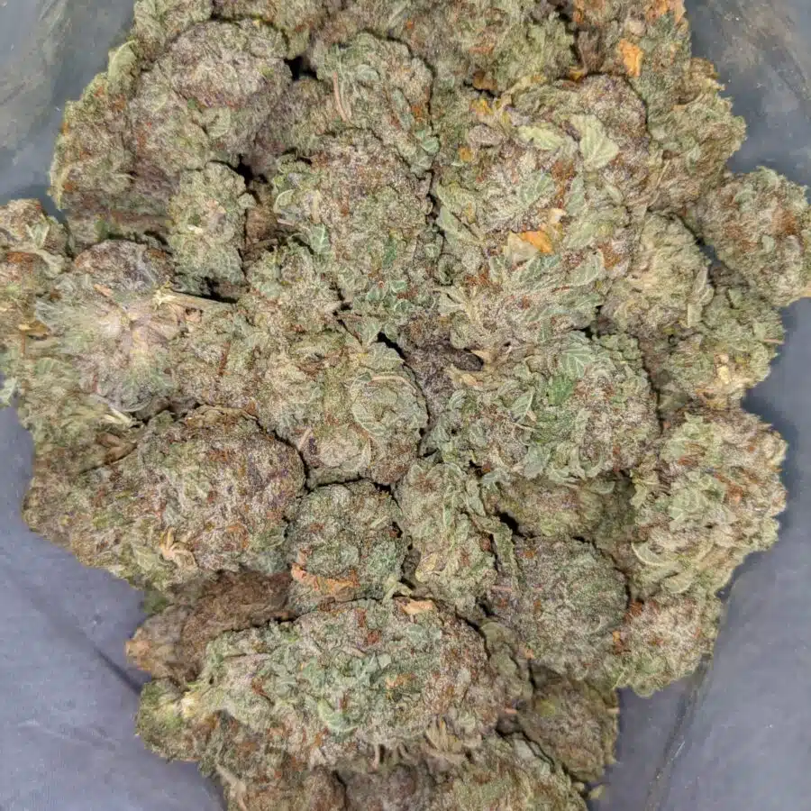 WHITE POISON DOD 2 scaled I $69 Oz - White Poison