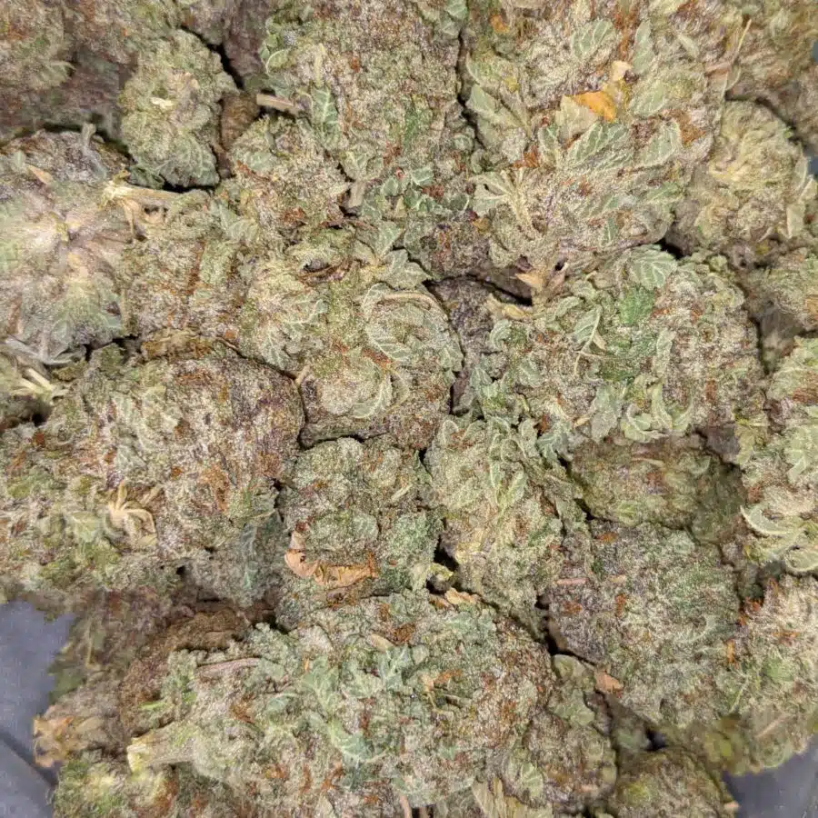 WHITE POISON DOD 4 scaled I $69 Oz - White Poison