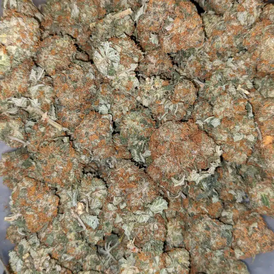 WOODY KUSH 2 I $59 OZ - Cheap Woody Kush