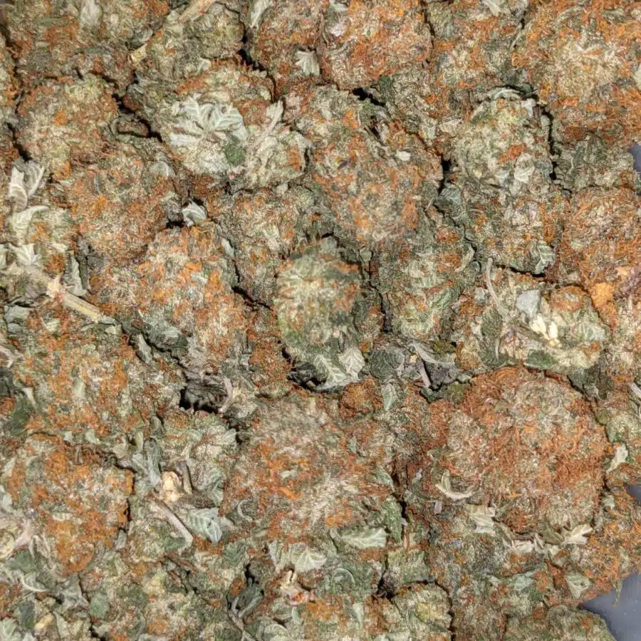 WOODY KUSH 3 I $59 OZ - Cheap Woody Kush