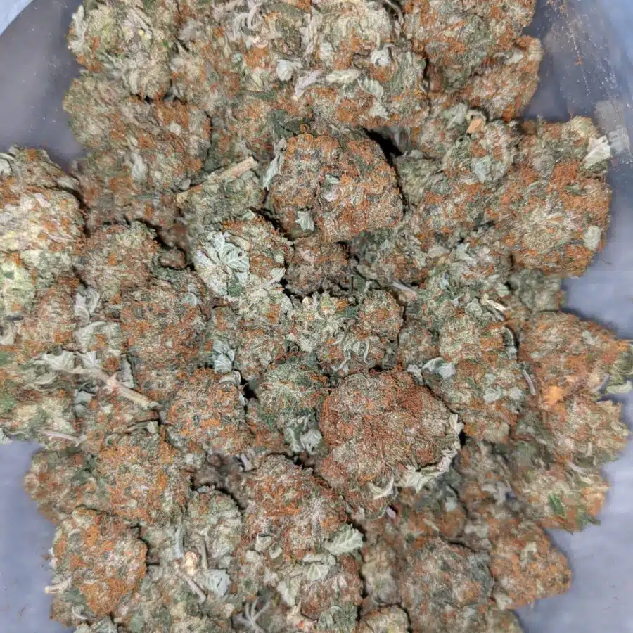 $59 OZ - Cheap Woody Kush