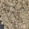 $49 Oz - Budget Kubbie Kush
