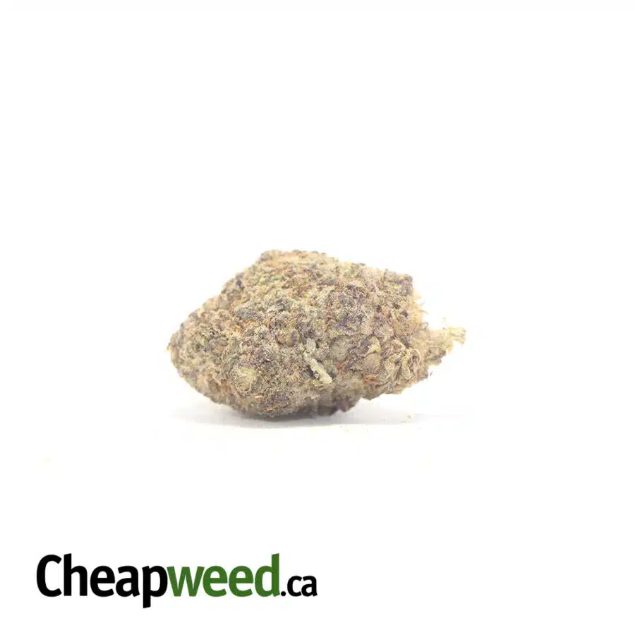 $49 Oz - Purple Lollipop