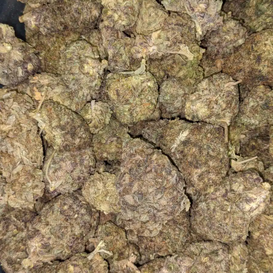 49 purple lollipop3 I $49 Oz - Purple Lollipop