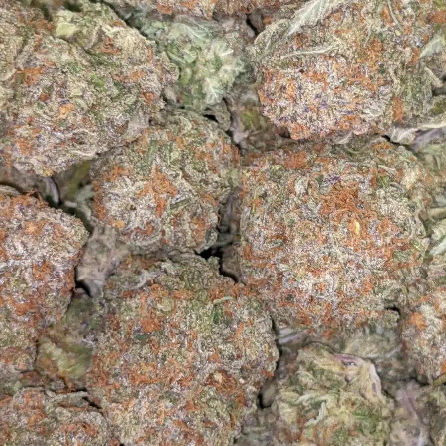 59 ALASKAN THUNDERFUCK 4 I $59 Oz - Alaskan Thunderfuck