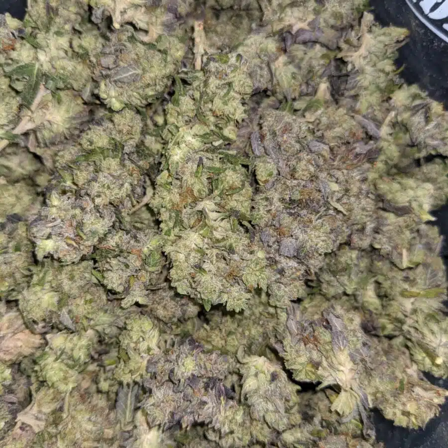Alternative view of $59 Oz - Purple Gas