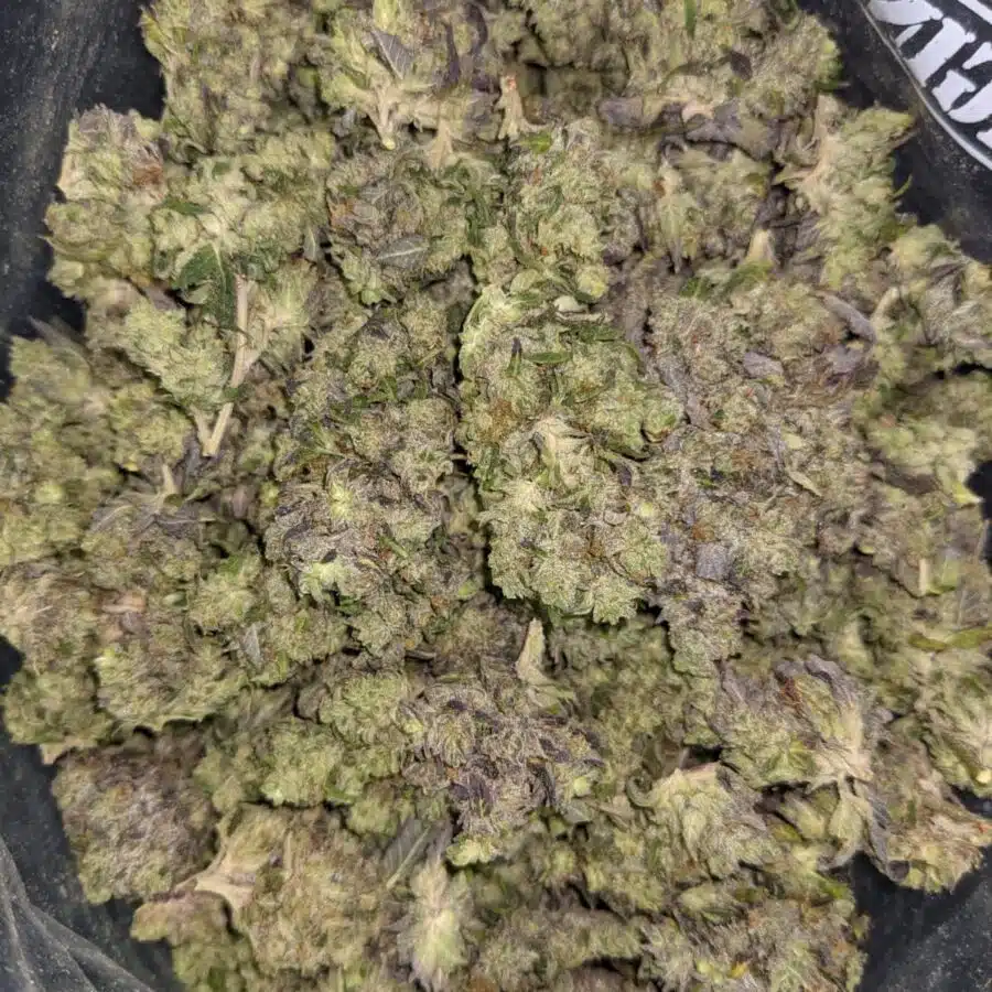 59 PURPLE GAS 4 rotated I $59 Oz - Purple Gas