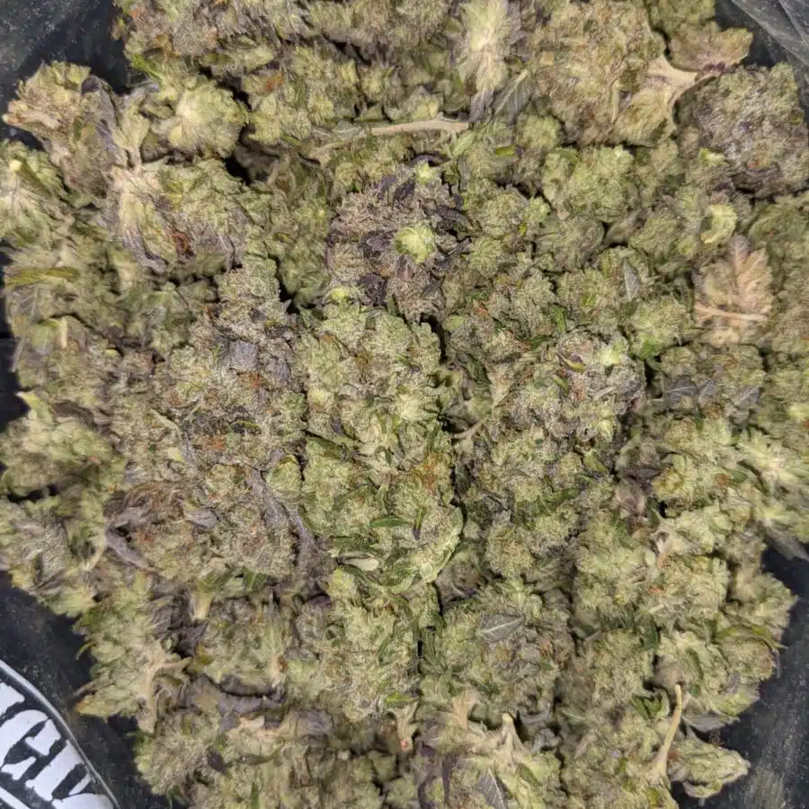 59 PURPLE GAS 5 I $59 Oz - Purple Gas