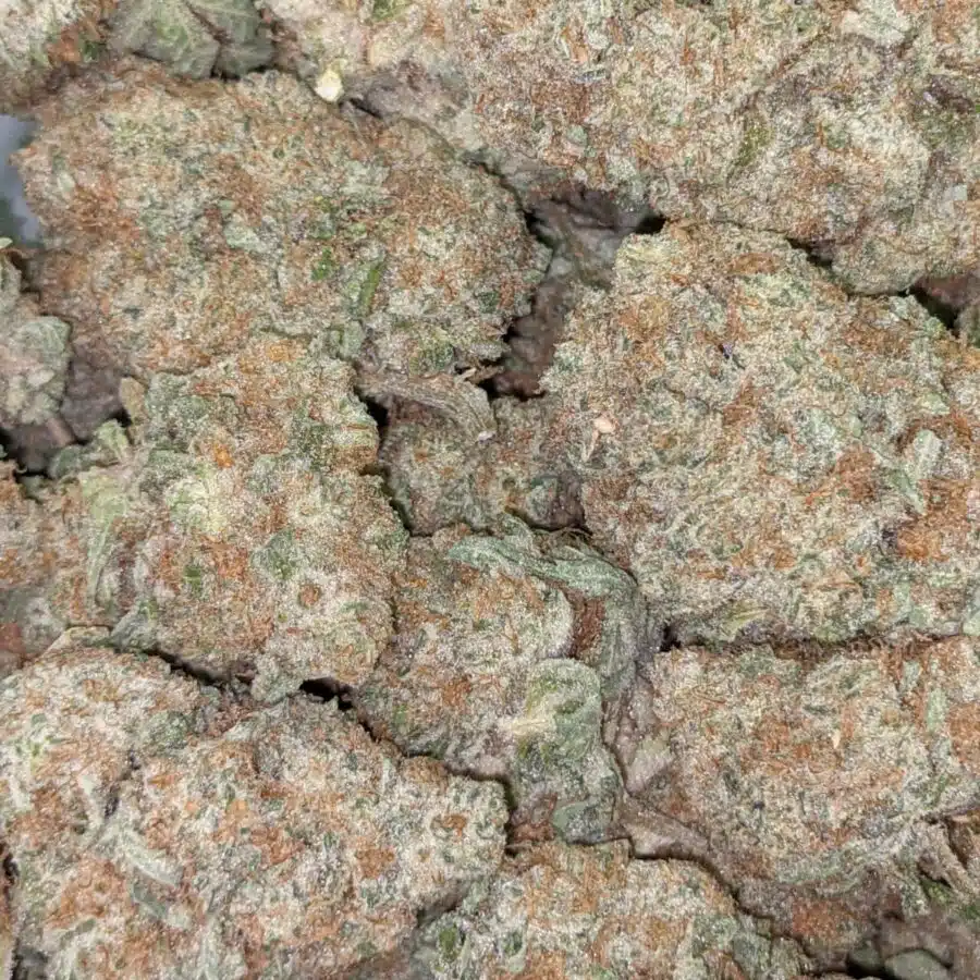 99 STRAWBERRY COUGH 3 I $139 Oz - Strawberry Cough