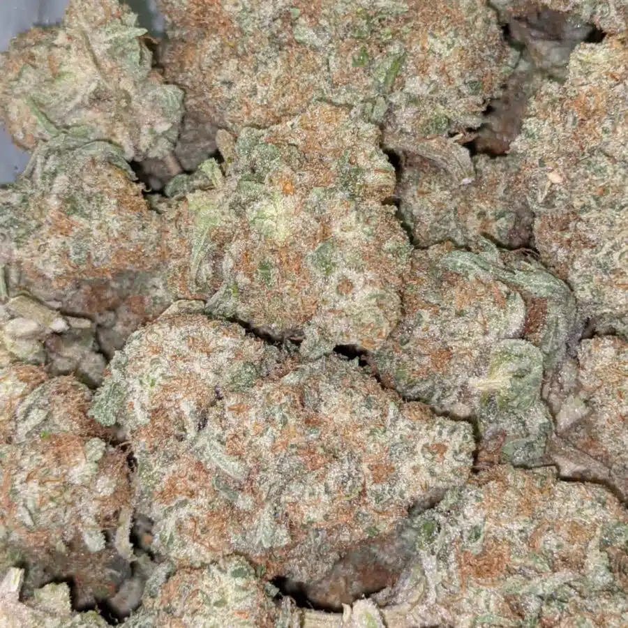 99 STRAWBERRY COUGH 5 I $139 Oz - Strawberry Cough