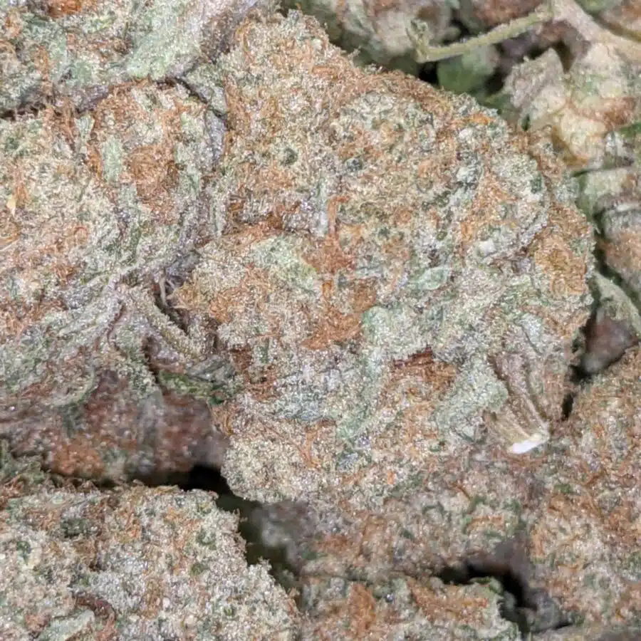99 STRAWBERRY COUGH 6 I $139 Oz - Strawberry Cough