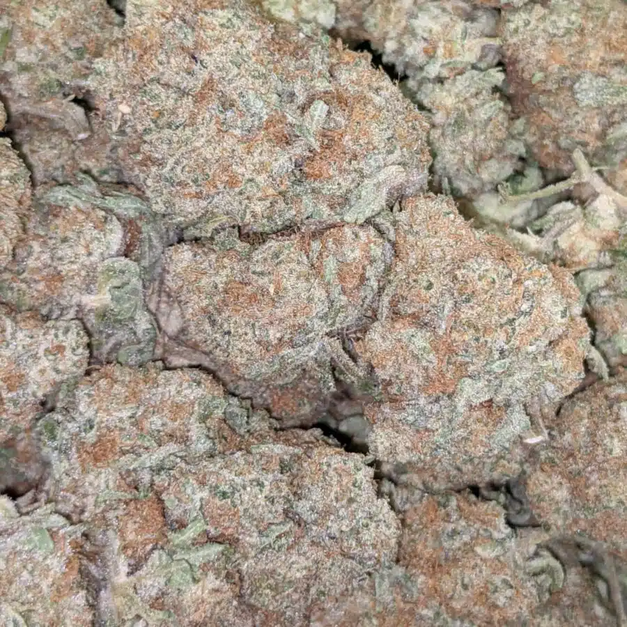 99 STRAWBERRY COUGH 7 I $139 Oz - Strawberry Cough