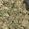 AA+ Bulk Sativa